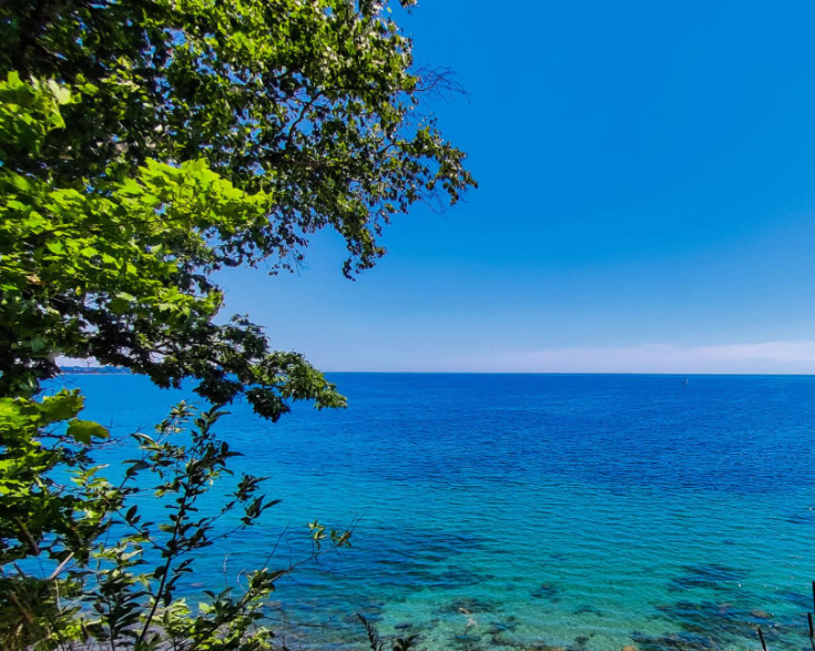 Blue Lake Ontario framed by green forest under a clear sky